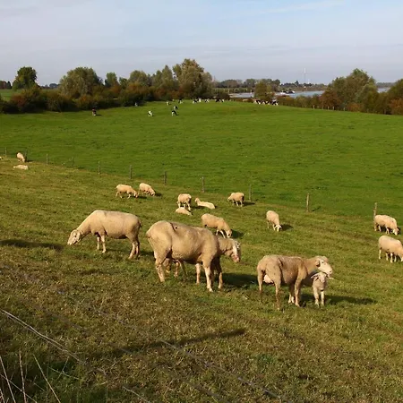 Landlust Unser L Ieblingscafe Apartment