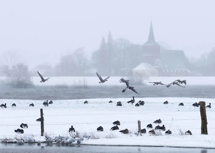 Apartament Landlust Unser L Ieblingscafe Xanten