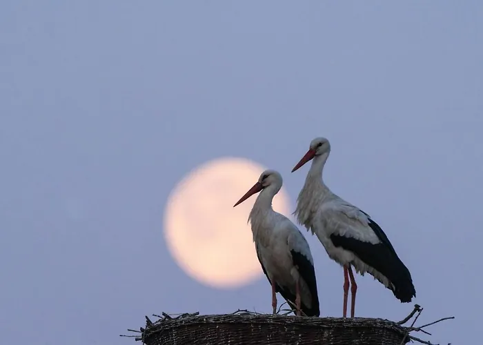 Landlust Unser L Ieblingscafe Apartman