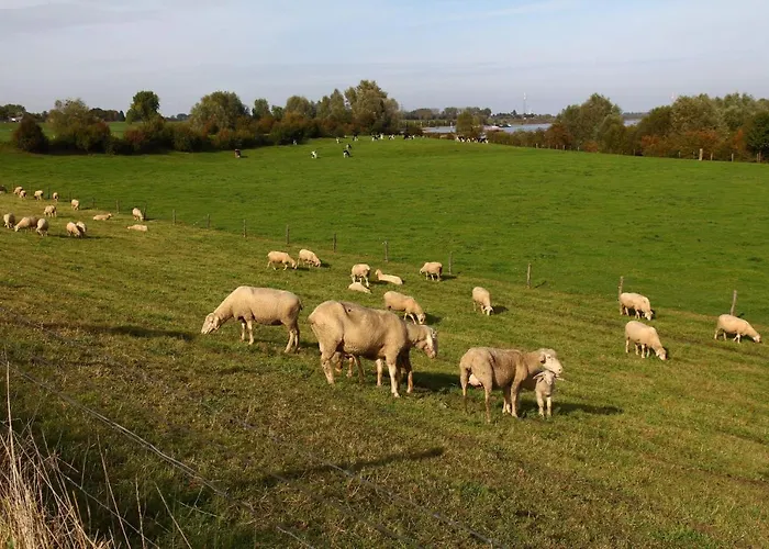 Landlust Unser L Ieblingscafe Apartament